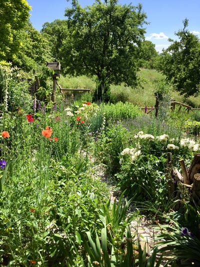 Gartern-Martinelli-Naturgärten