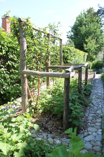 Himbeerigstell-Martinelli-Naturgärten