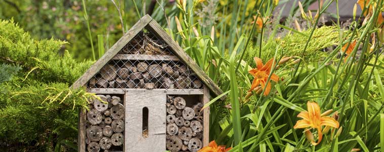 Insektenhotel_Martinelli_Naturgärten