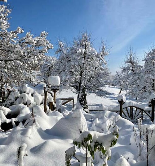 Garten_Schnee