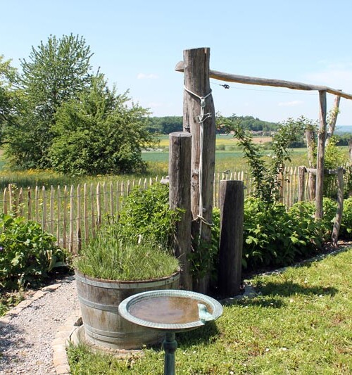 Himbeergestell-Martinelli-Naturgärten