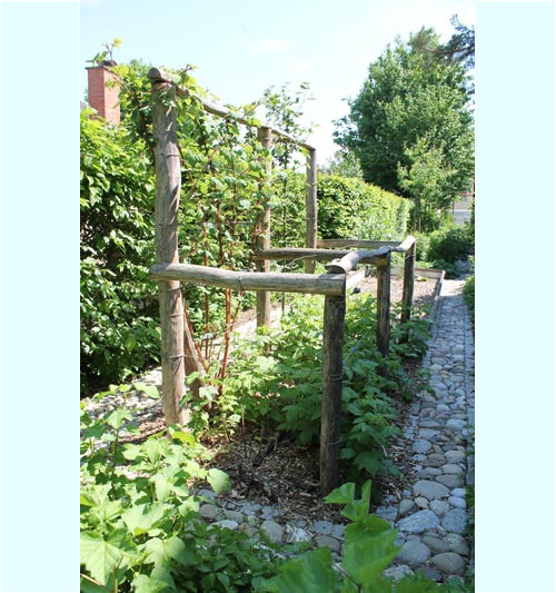 Himbeerigstell-Martinelli-Naturgärten