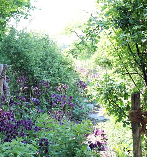 Idylle-Martinelli-Naturgärten