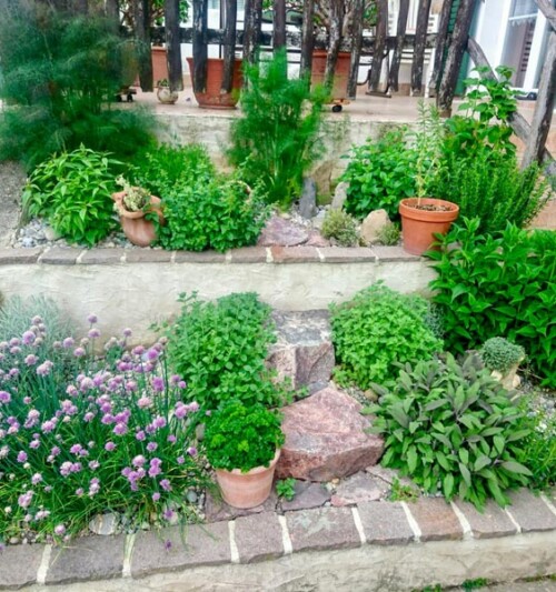 Kräuter-Martinelli-Naturgärten